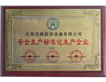 安全生產標準化生產企業榮譽證書